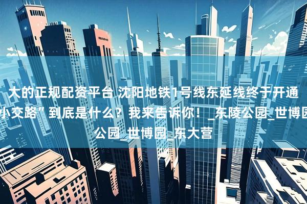 大的正规配资平台 沈阳地铁1号线东延线终于开通了，“大小交路”到底是什么？我来告诉你！_东陵公园_世博园_东大营