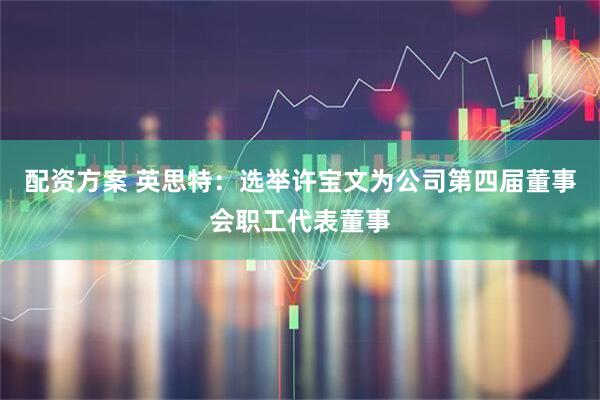 配资方案 英思特：选举许宝文为公司第四届董事会职工代表董事