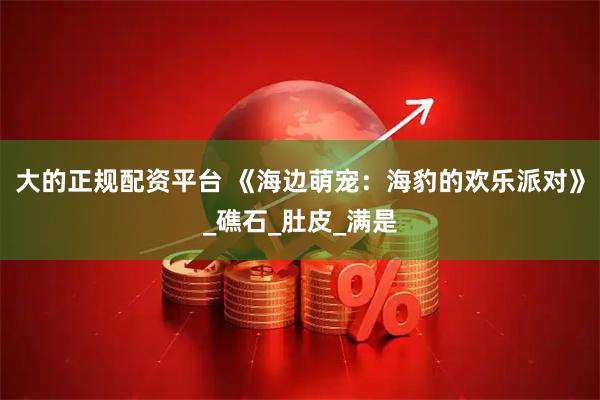 大的正规配资平台 《海边萌宠：海豹的欢乐派对》_礁石_肚皮_满是